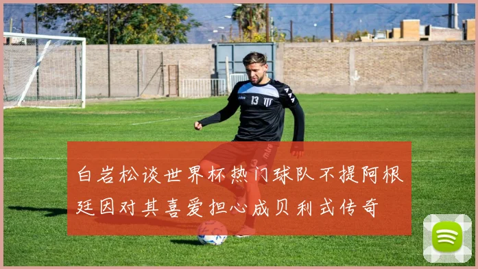 白岩松谈世界杯热门球队不提阿根廷因对其喜爱担心成贝利式传奇