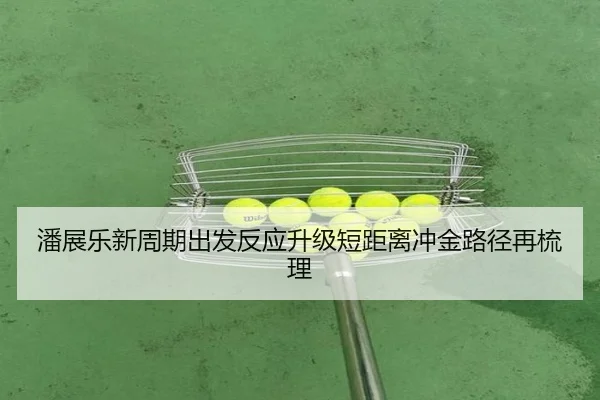 潘展乐新周期出发反应升级短距离冲金路径再梳理